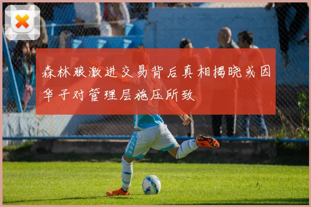 森林狼激进交易背后真相揭晓或因华子对管理层施压所致